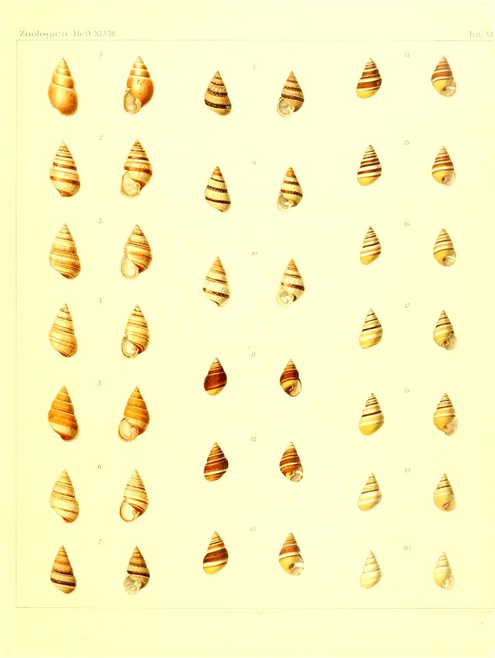 n102_w1150