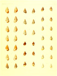 n102_w1150