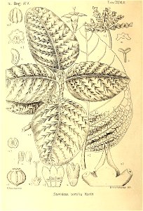 n253_w1150