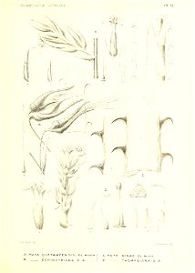 n160_w1150