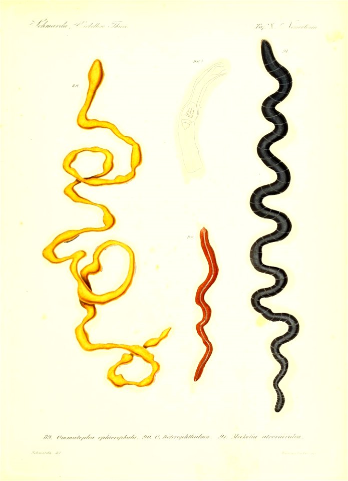 n112_w1150