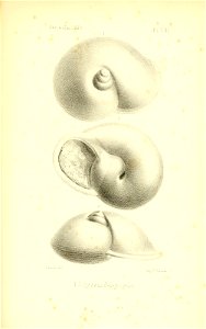 n374_w1150