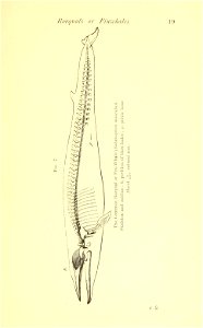 n22_w1150