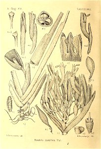 n427_w1150
