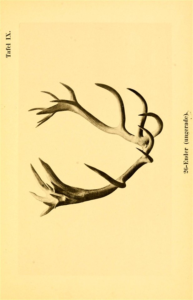 n44_w1150