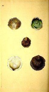 n43_w1150