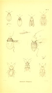 n402_w1150