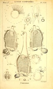 n462_w1150