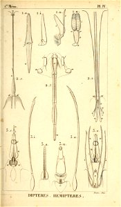 n156_w1150