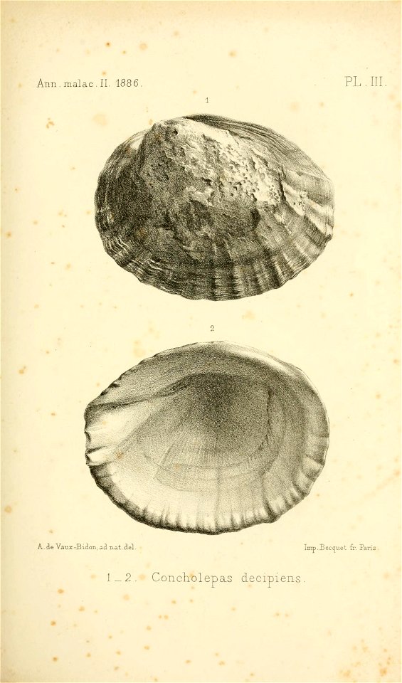 n294_w1150