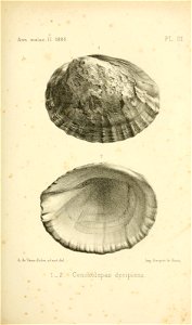 n294_w1150