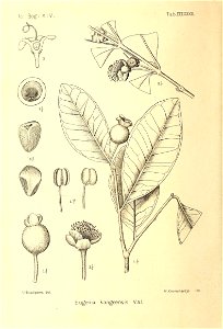 n197_w1150