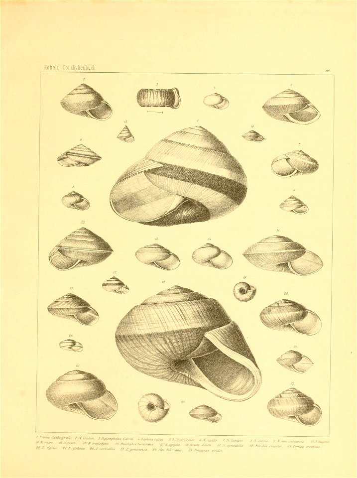 n284_w1150