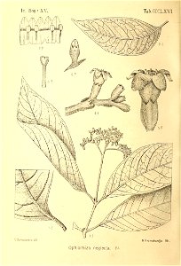 n373_w1150