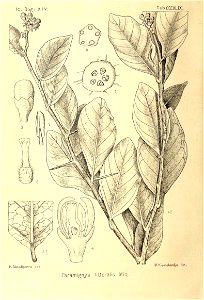 n289_w1150