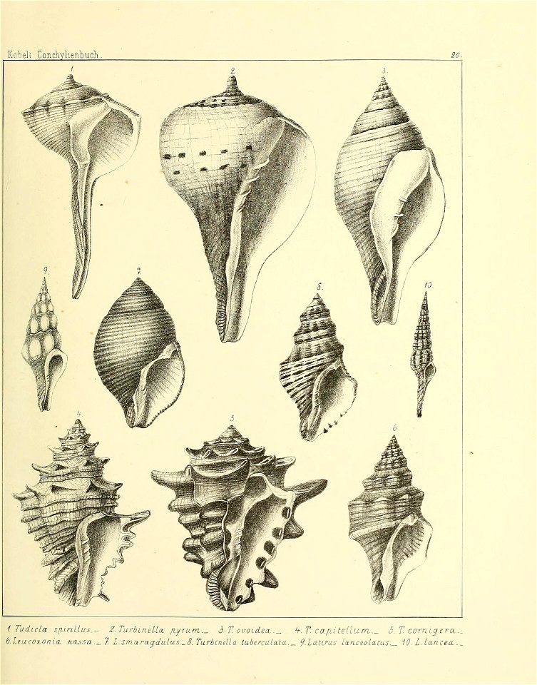 n204_w1150