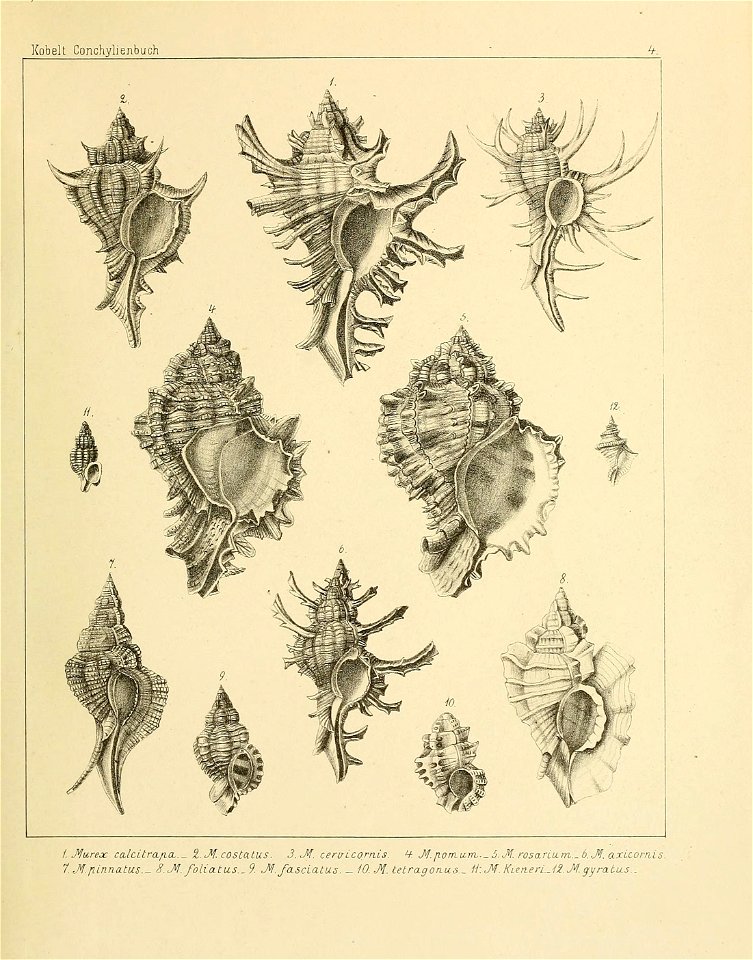 n172_w1150