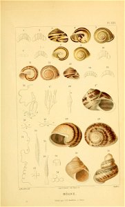 n126_w1150