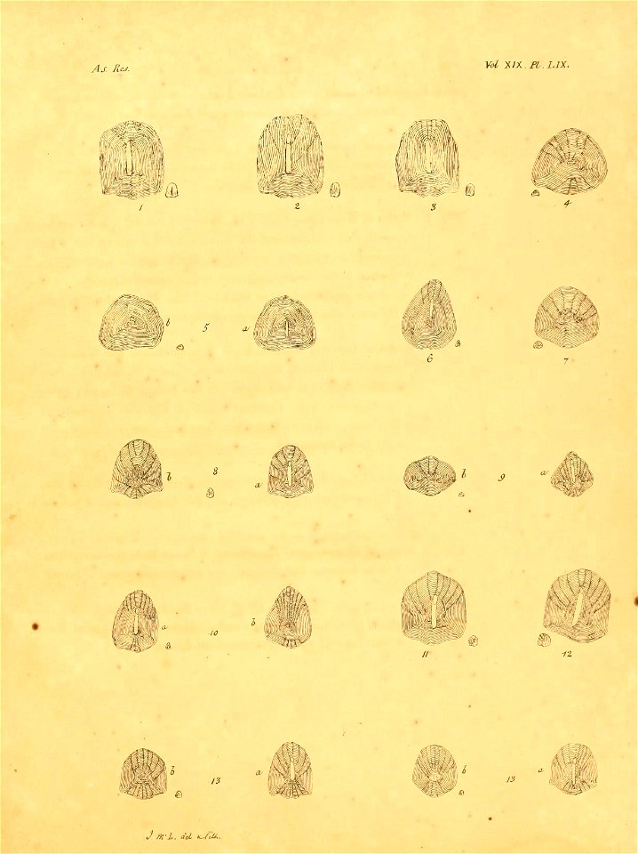n286_w1150