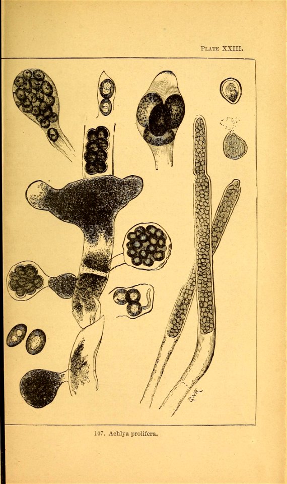 n192_w1150