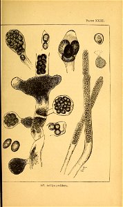 n192_w1150