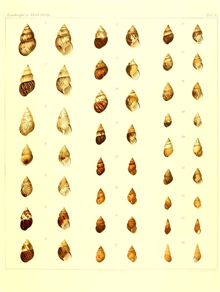 n110_w1150