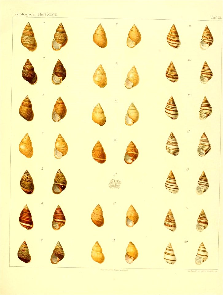 n114_w1150