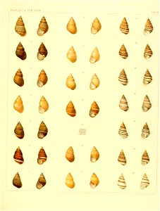 n114_w1150