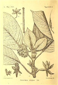 n537_w1150