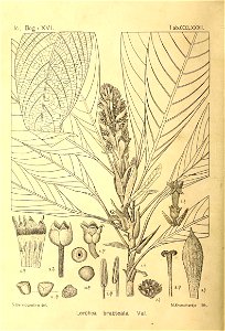 n463_w1150