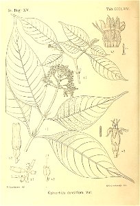 n365_w1150