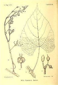 n167_w1150