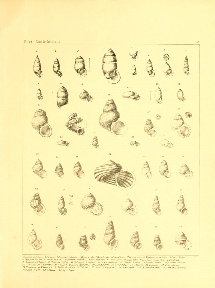 n276_w1150