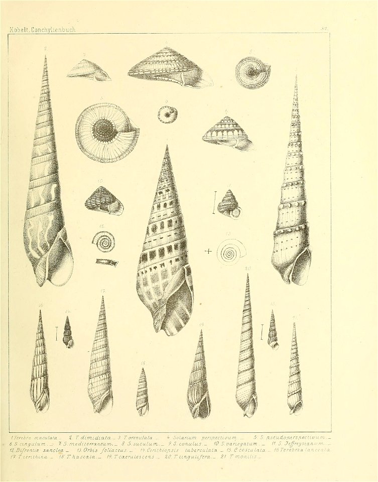 n228_w1150