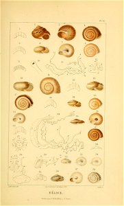 n122_w1150