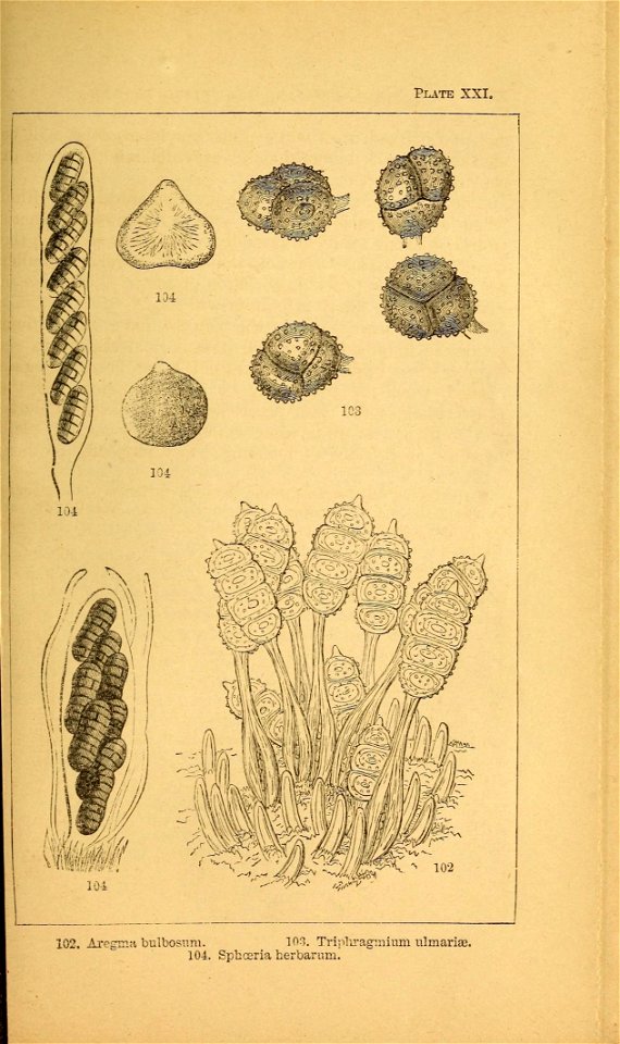 n176_w1150