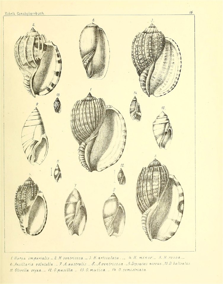 n196_w1150