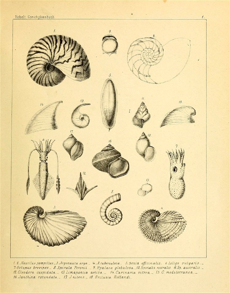 n166_w1150