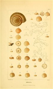 n120_w1150