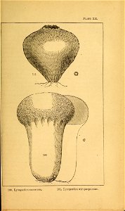 n168_w1150
