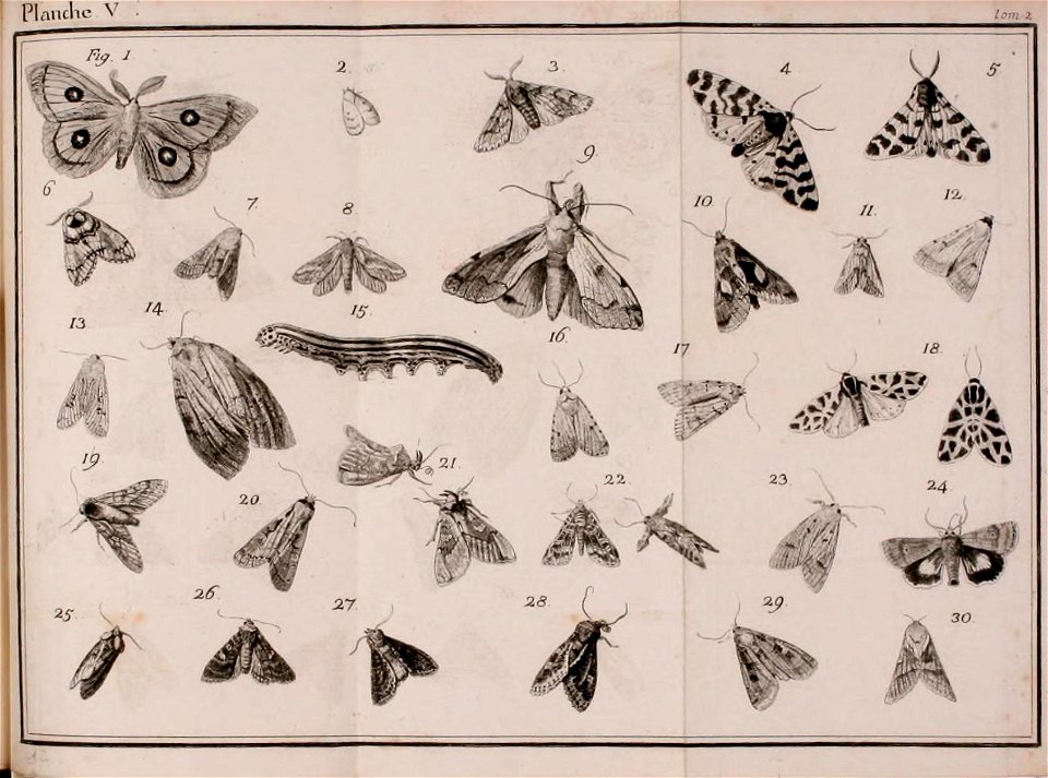 n694_w1150