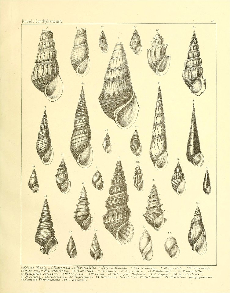 n254_w1150