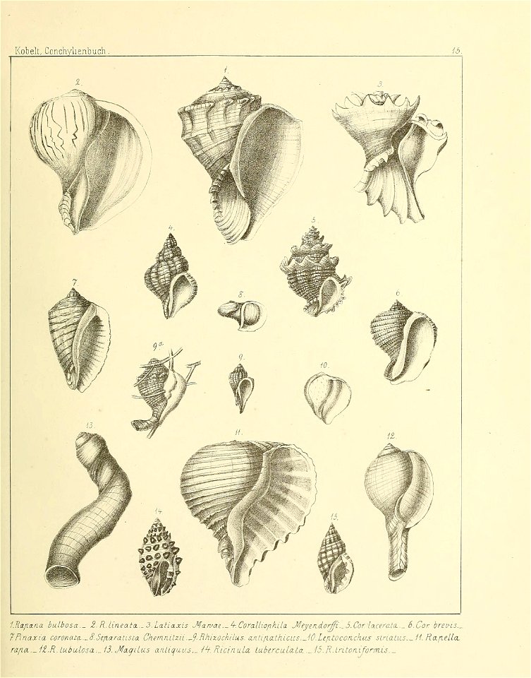 n194_w1150