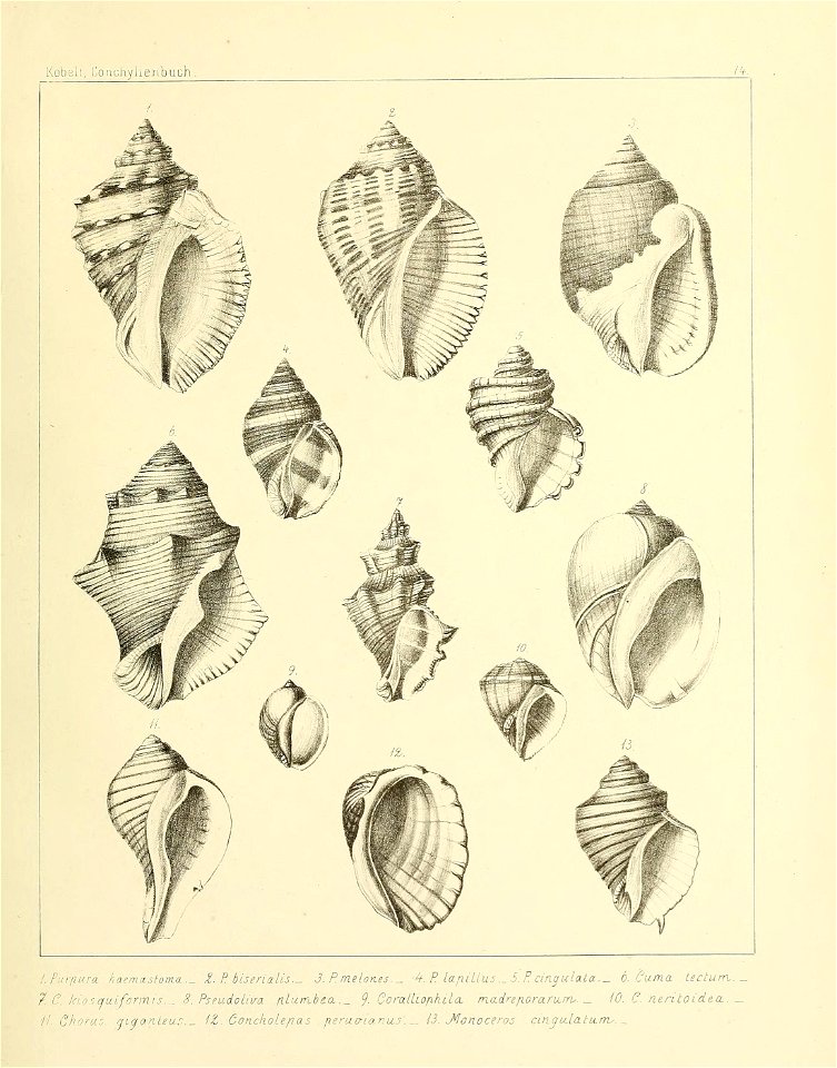 n192_w1150