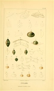 n206_w1150