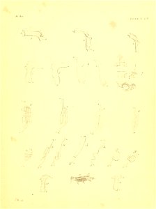 n144_w1150