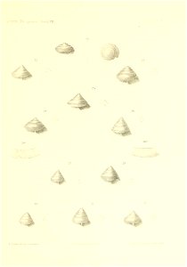 n300_w1150