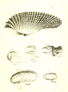 n234_w1150