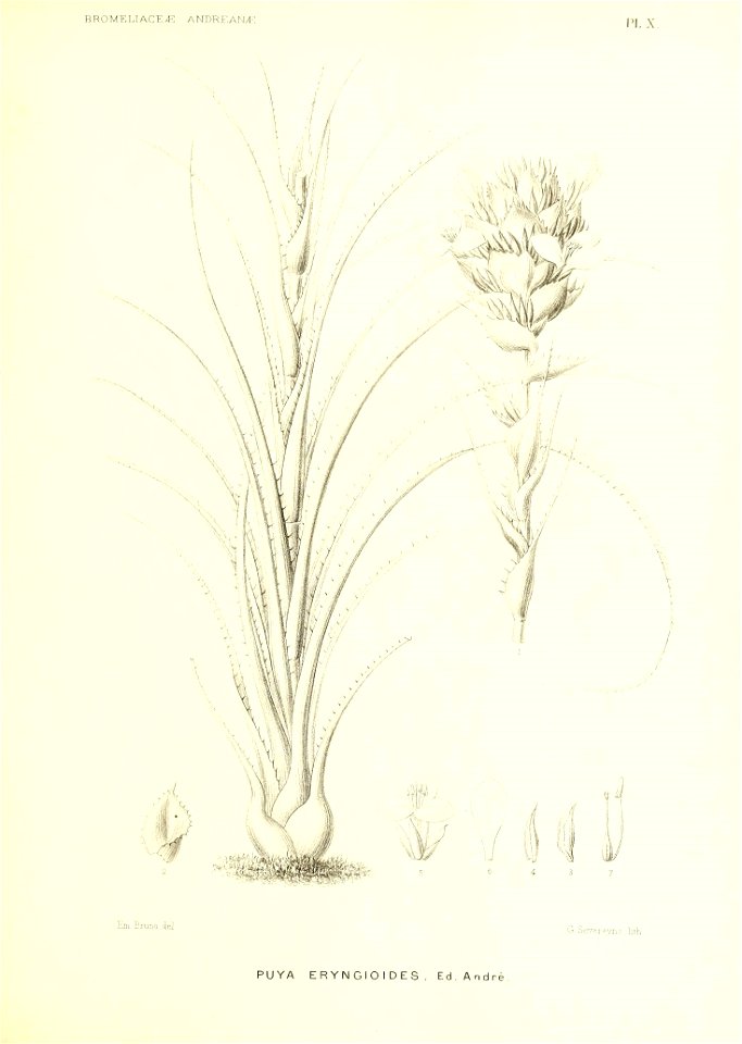 n158_w1150