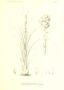 n158_w1150